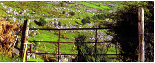activities in leitrim
