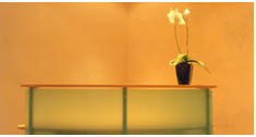 Ramada Hotel & Suites